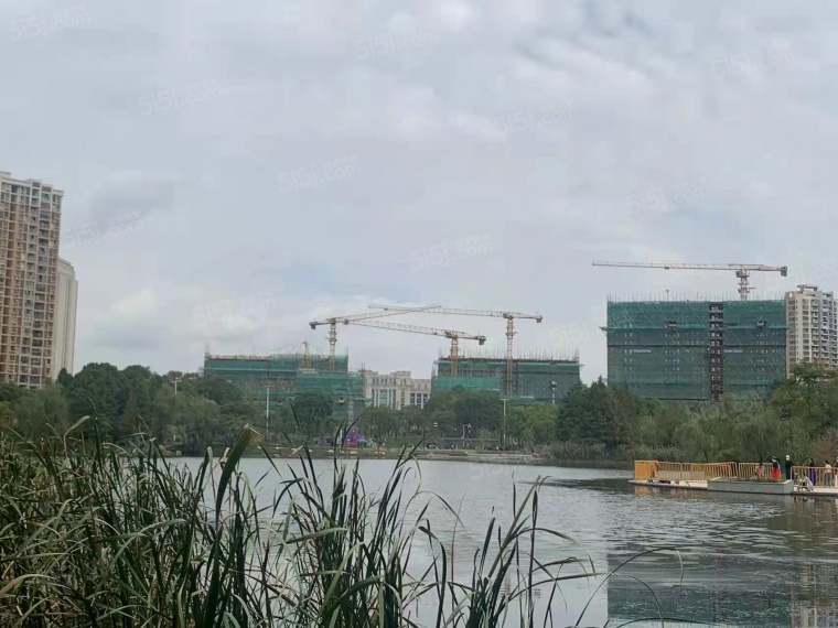 颐和天樾花园实景图