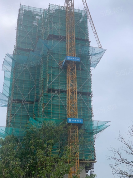 颐和天樾花园实景图