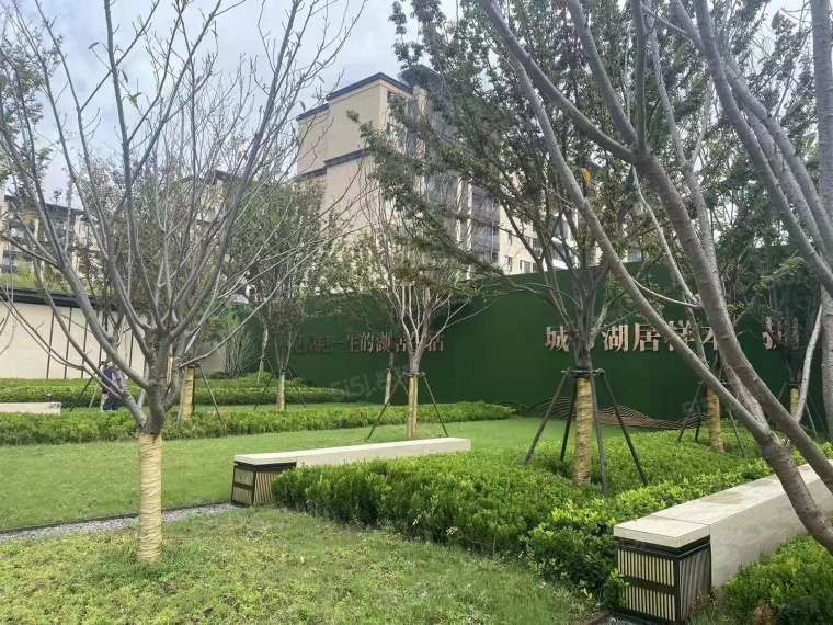 德信都绘大境实景图