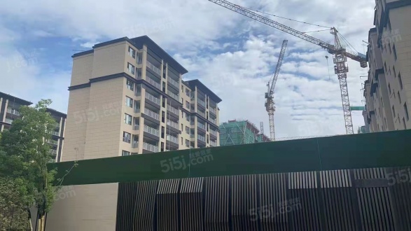 德信都绘大境第29张图