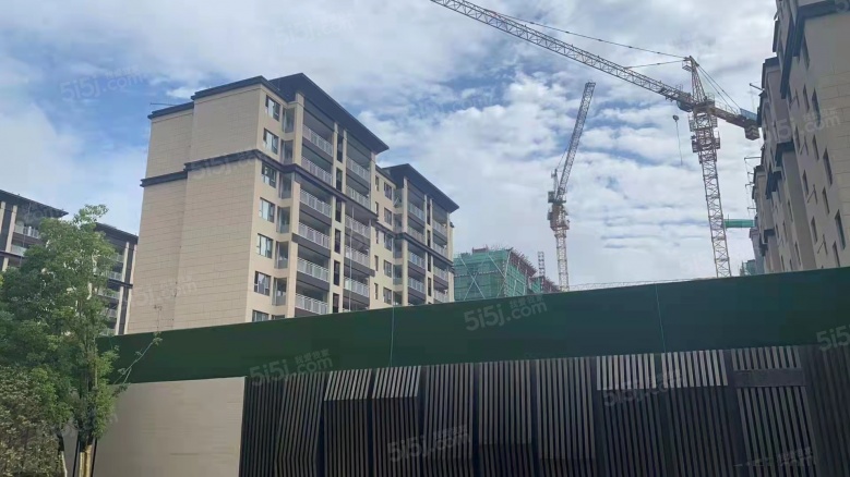 德信都绘大境实景图