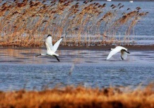 路劲象屿岛上的院子沙盘图相册