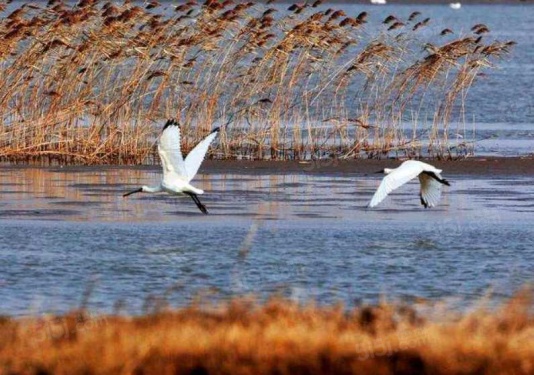 路劲象屿岛上的院子第18张图