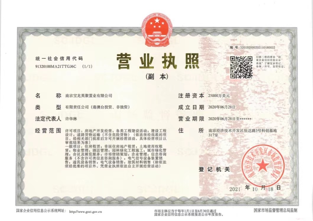 新生圩宝龙广场开发商营业执照