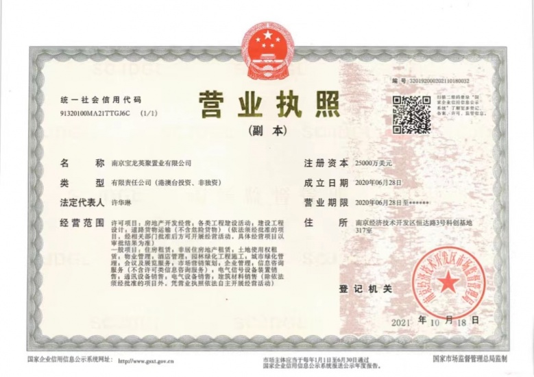 新生圩宝龙广场开发商营业执照