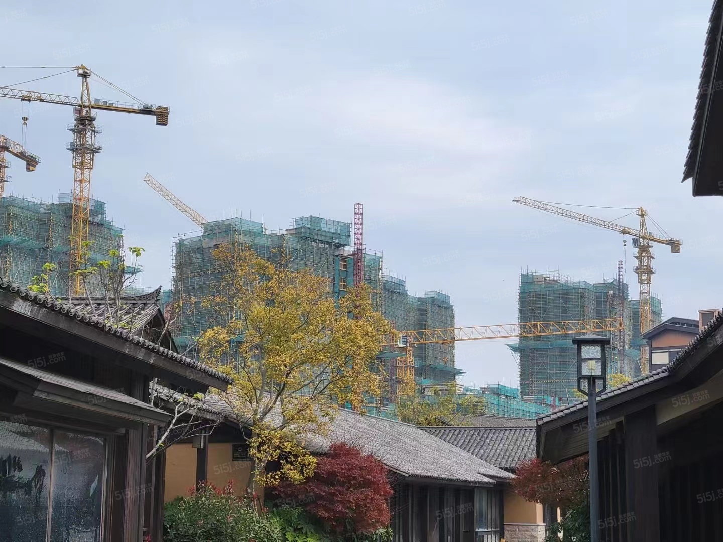 雅居乐春风渡实景图