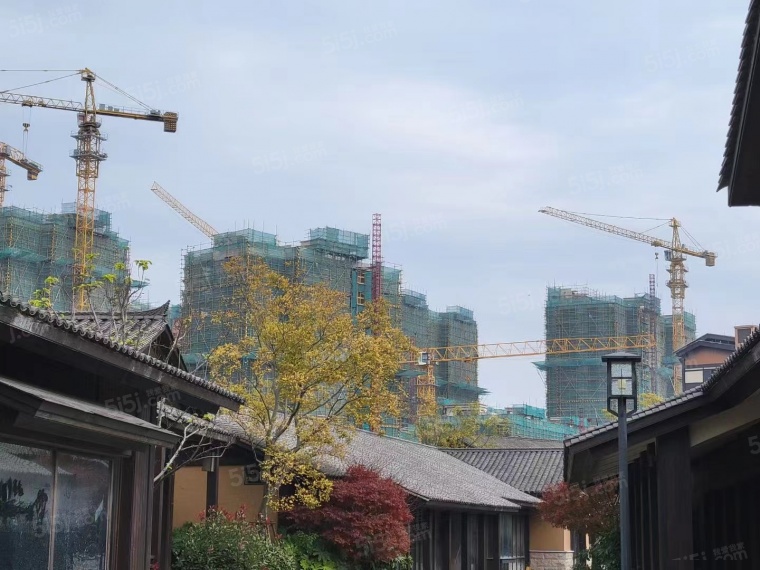 雅居乐春风渡实景图