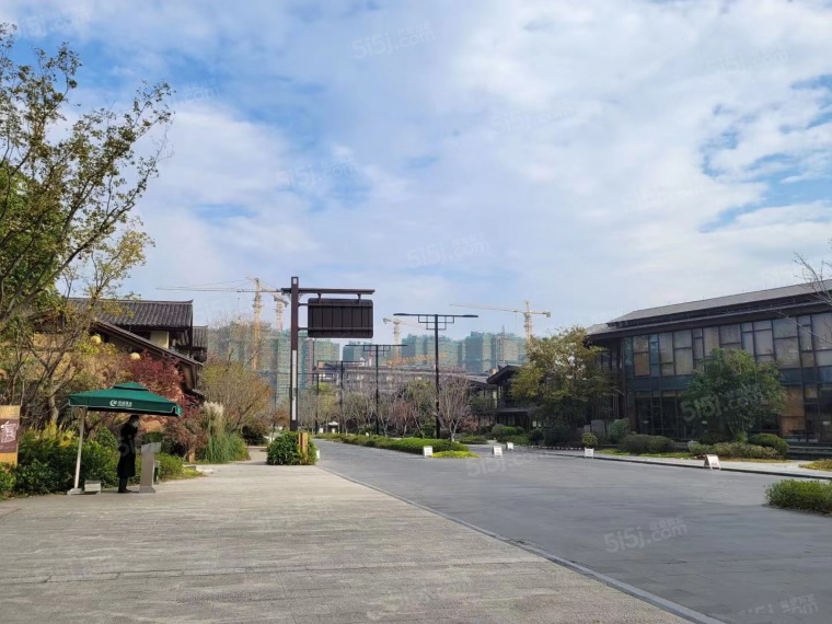 雅居乐春风渡实景图