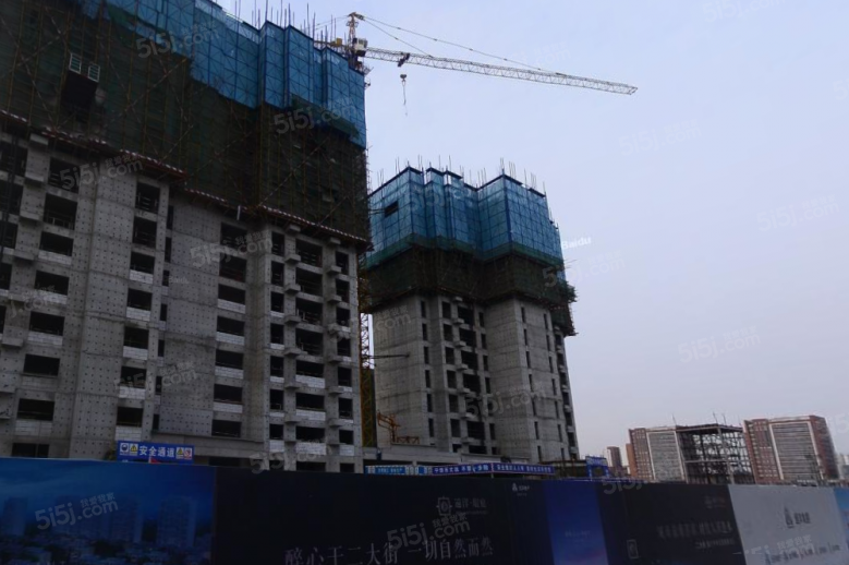 远洋简宫实景图