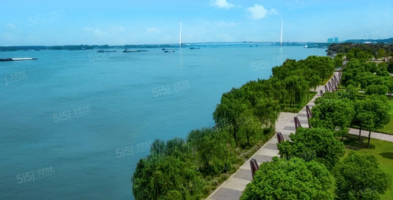 宝能滨江府配套图