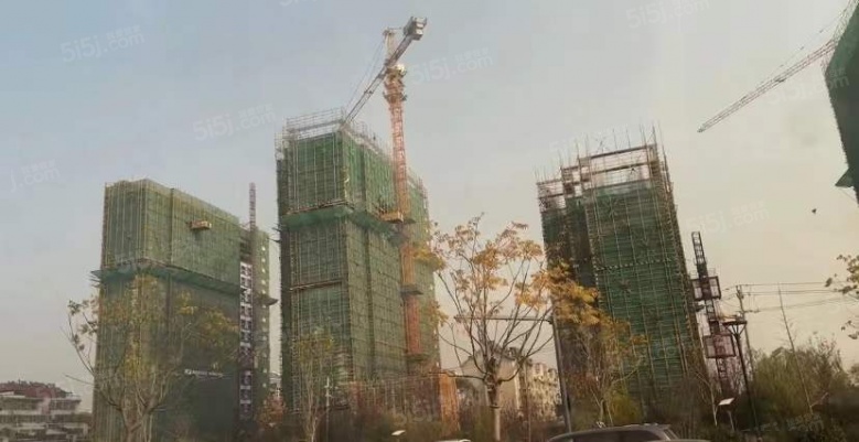 鸿翔·湖畔景园实景图