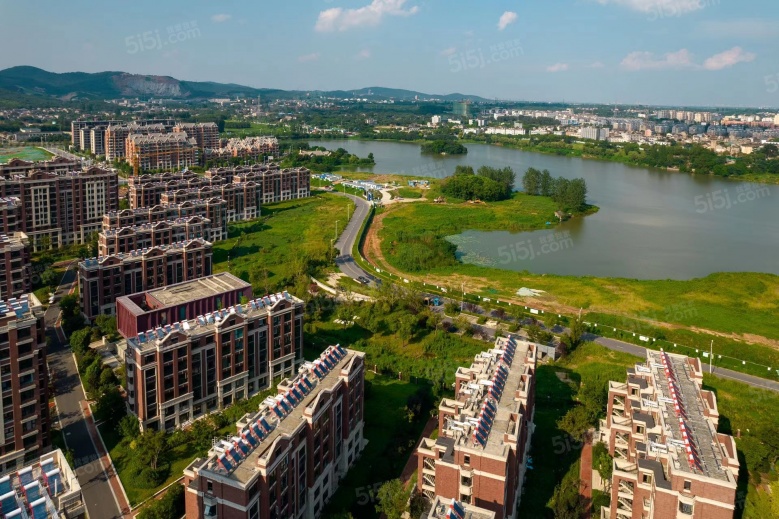 湖光晨樾实景图