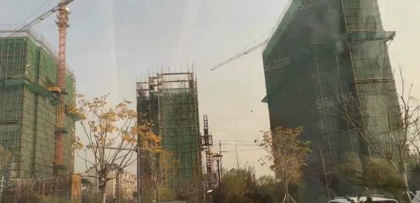 鸿翔·湖畔景园实景图