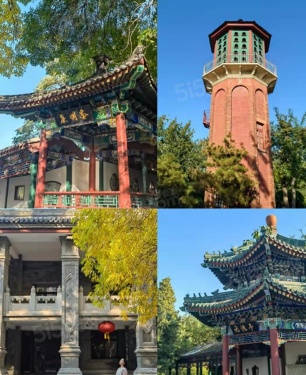 新兴中山8号第5张图