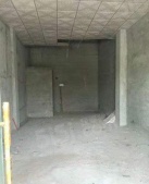 新兴中山8号开发商营业执照相册