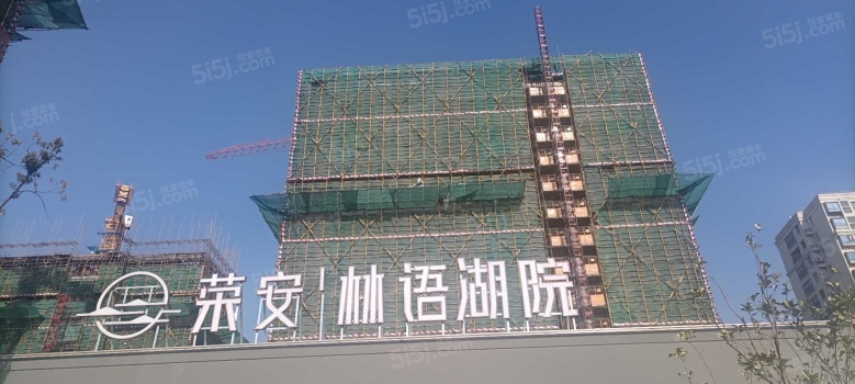 荣安·林语湖院实景图