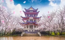 花溪美墅开发商营业执照相册