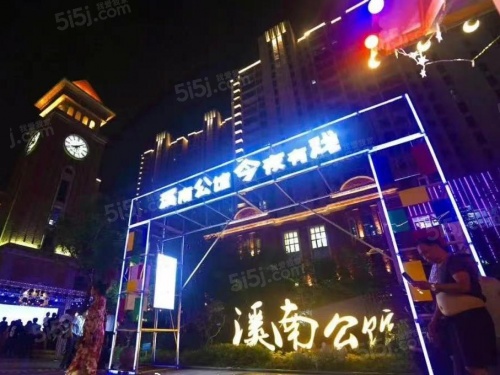 金领蠡洲台第40张图