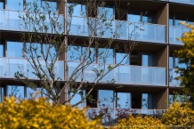 宸风云庐开发商营业执照相册