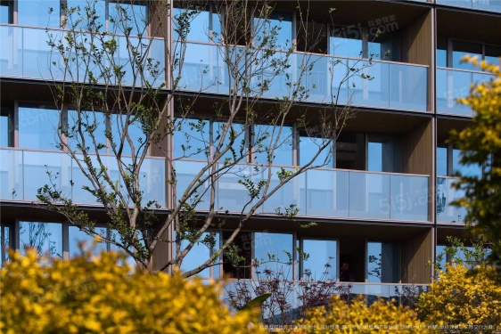 宸风云庐第25张图