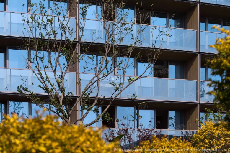 宸风云庐实景图