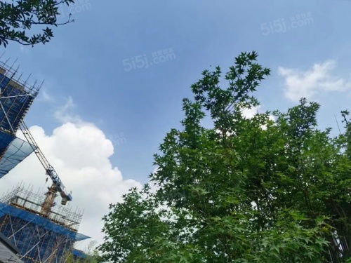 山河万物山河万象第60张图