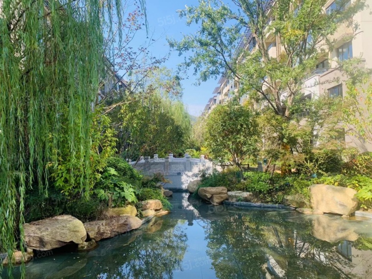 信义山水嘉庭实景图