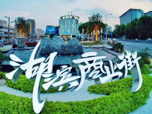 金领蠡洲台第39张图