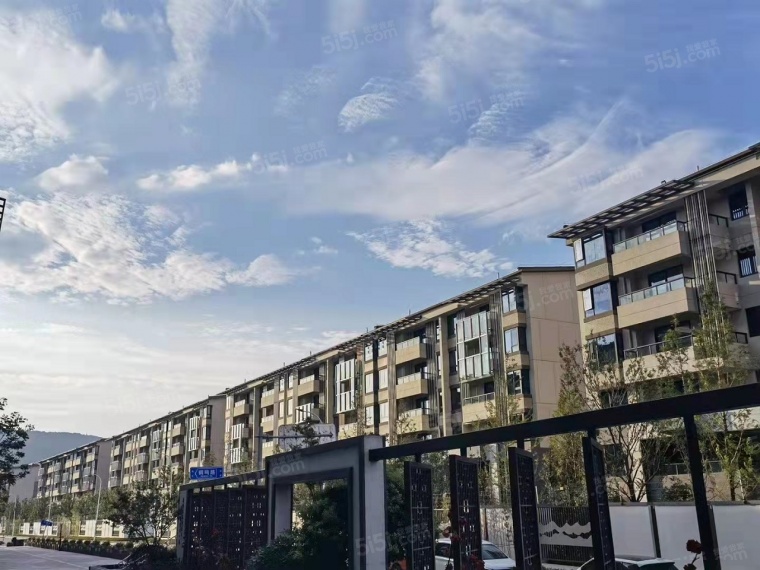 信义山水嘉庭效果图
