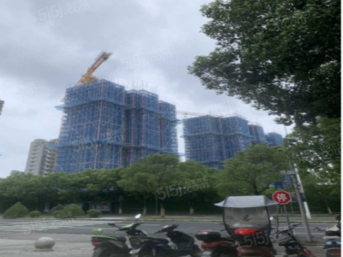 玫瑰公馆第22张图