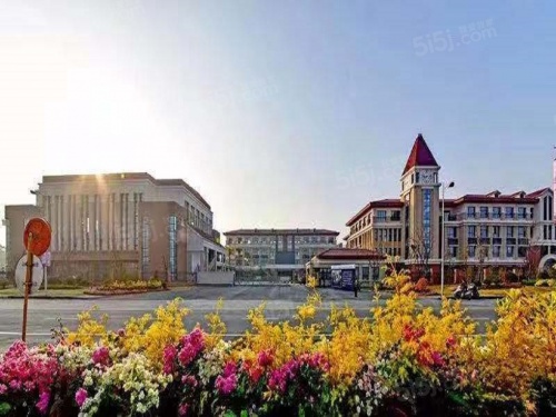 龙湖华亨天玺第8张图