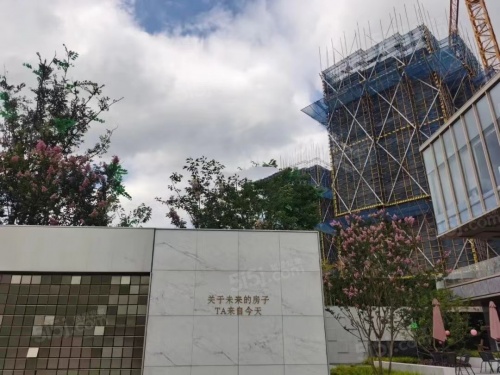 山河万物山河万象第61张图