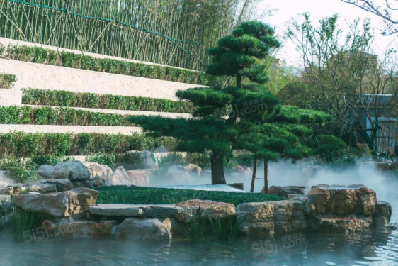 大城小院第2张图