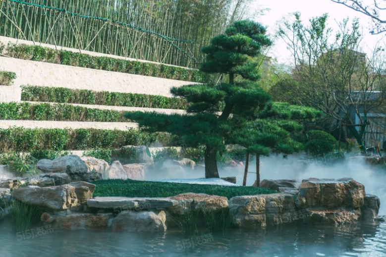 大城小院效果图