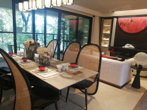 银城青山湖畔.临枫园第3张图