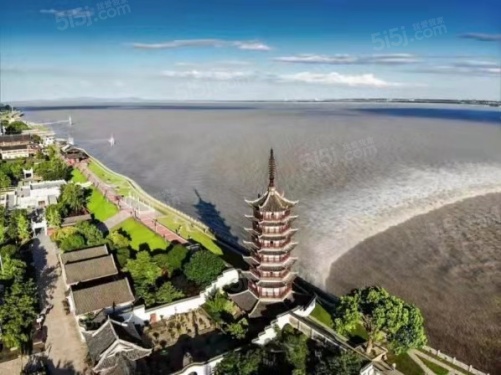 绿城理想水镇第10张图