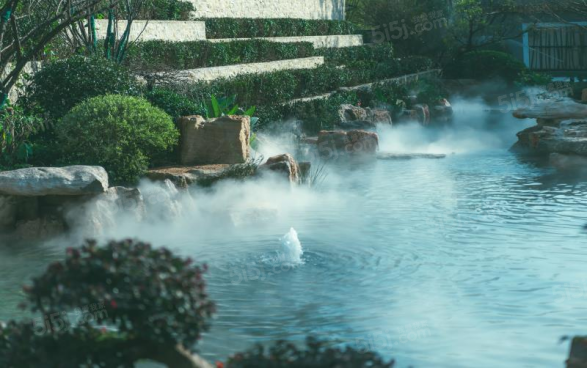 大城小院第9张图