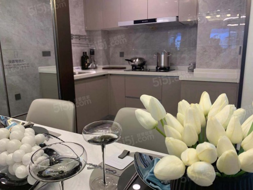 敏捷星著柏悦府第2张图