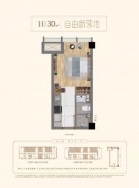 盈都新天地1室1厅1卫