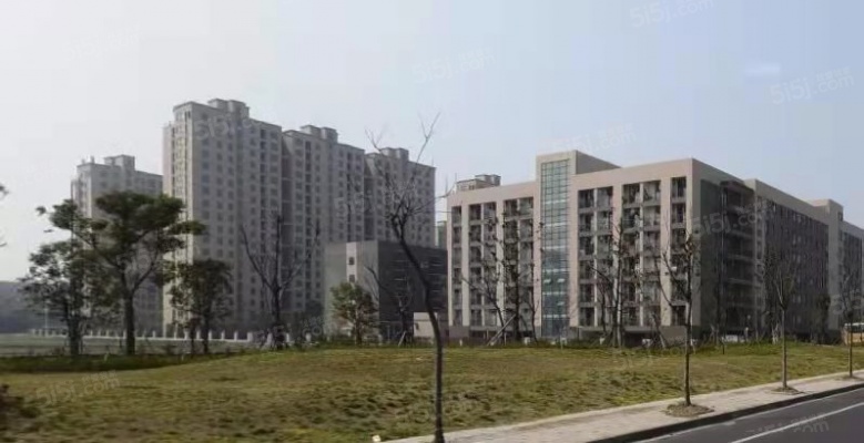 三迪雅颂美筑实景图