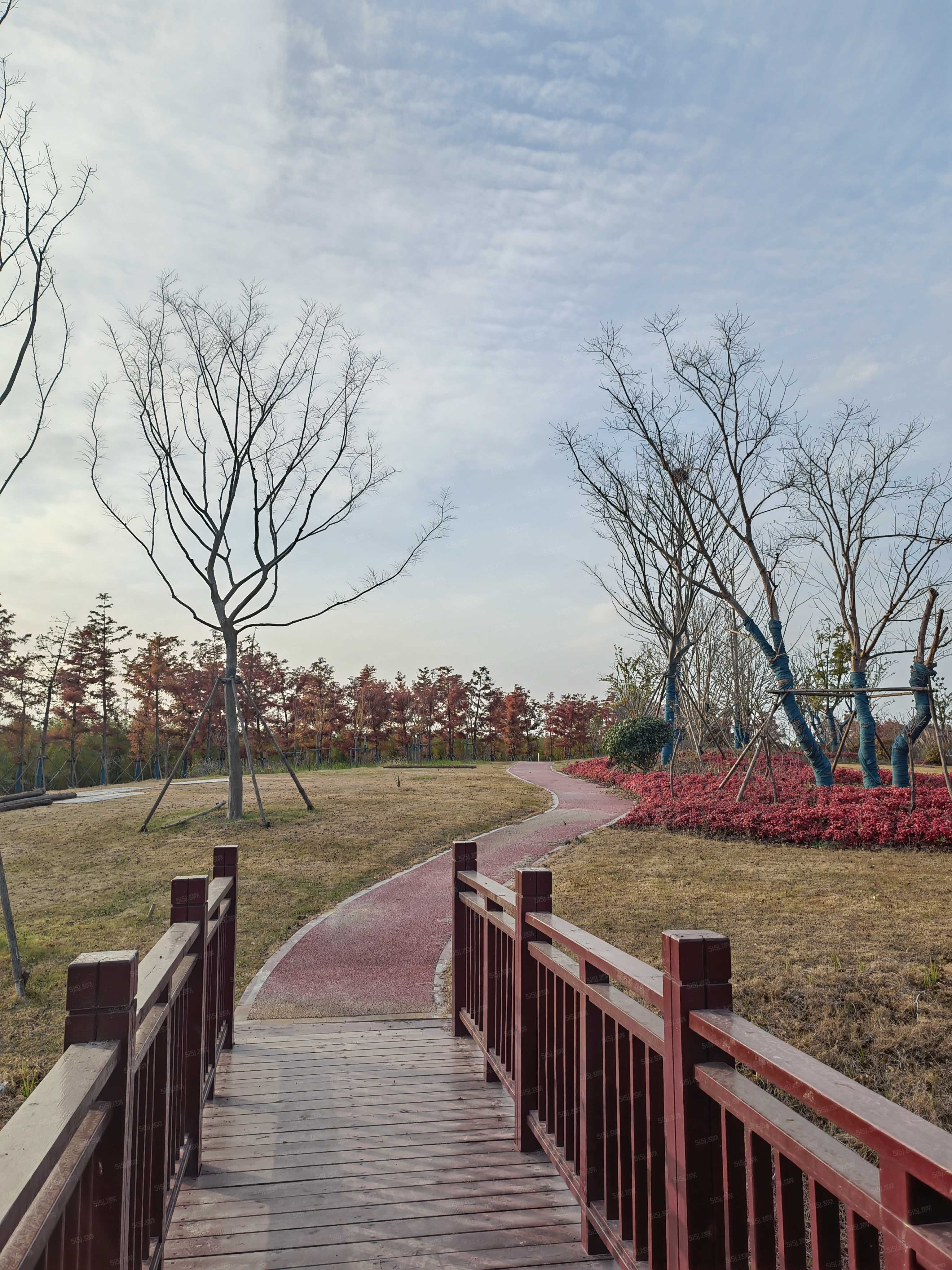 崇明岛大爱城实景图