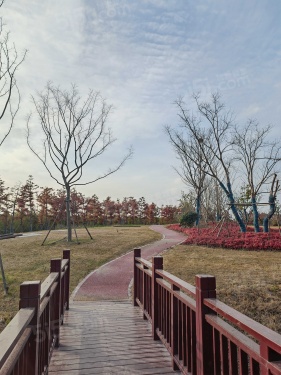 崇明岛大爱城第21张图