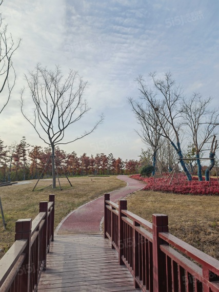 崇明岛大爱城实景图