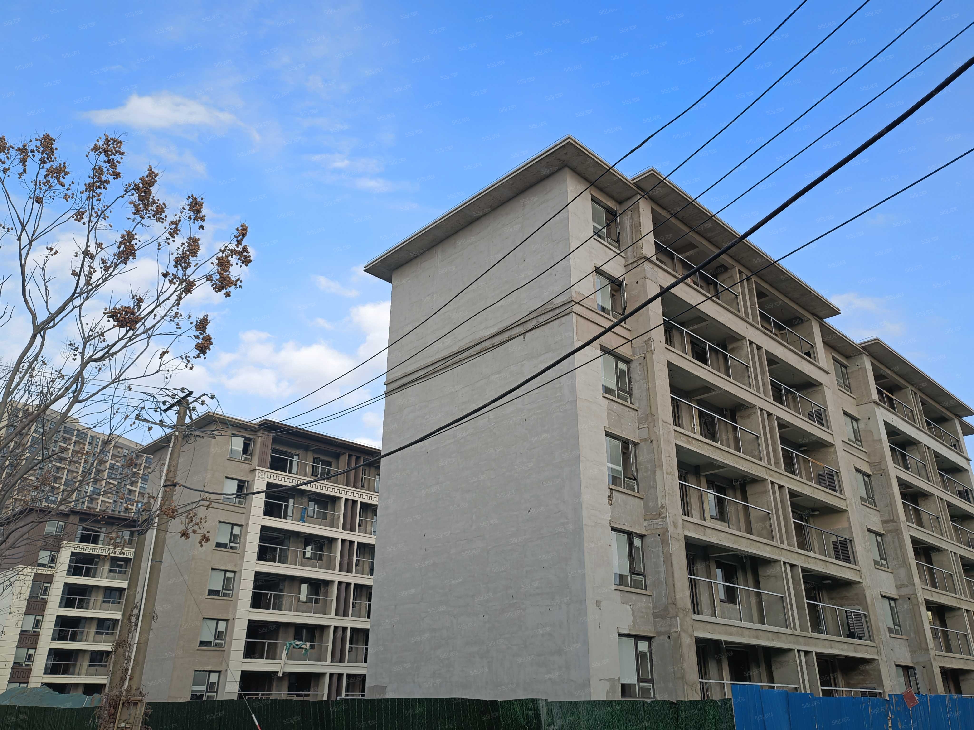 崇明岛大爱城实景图