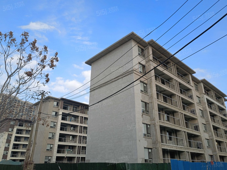 崇明岛大爱城实景图