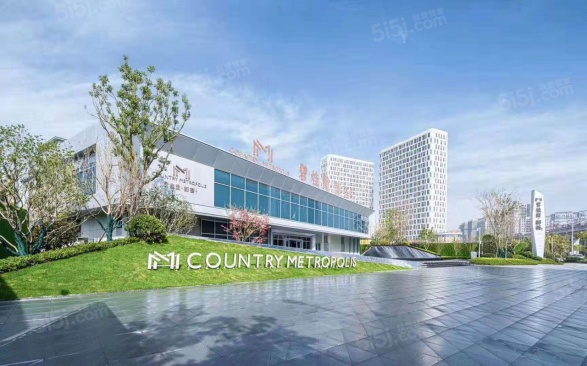 碧桂园都荟第9张图