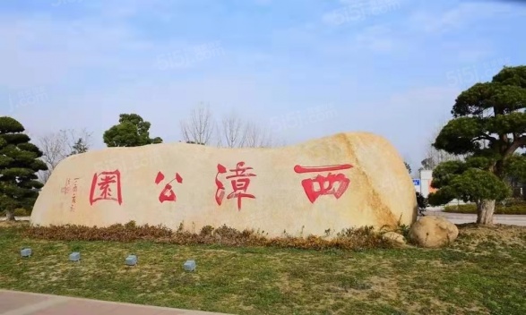 碧桂园都荟第62张图