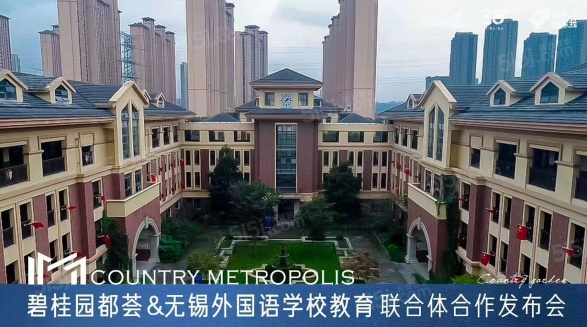 碧桂园都荟第53张图