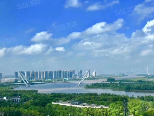 苏宁滨江壹号第10张图