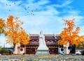 象屿和悦新宸配套图相册大图
